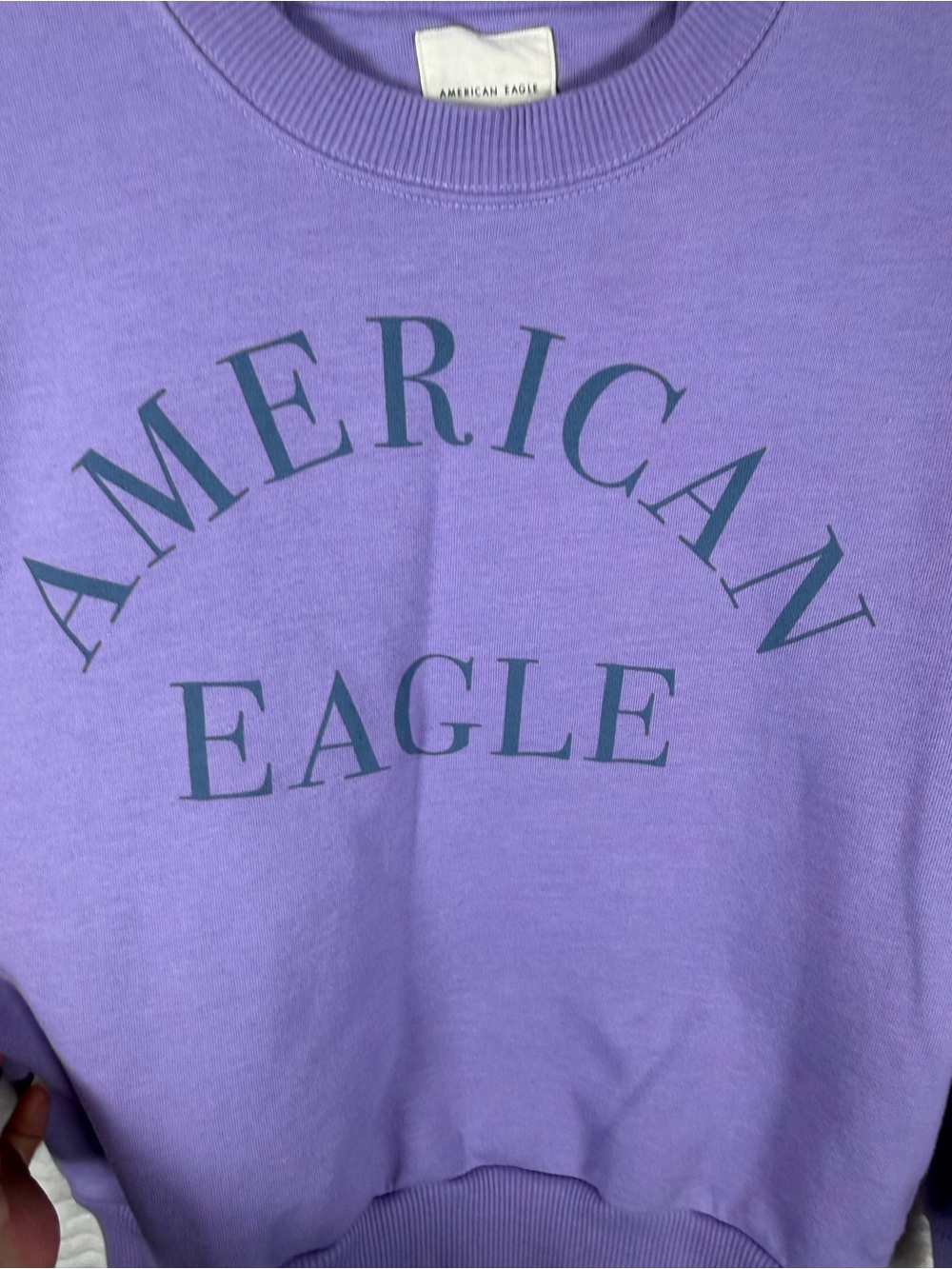 American Eagle Outfitters Purple Logo Crewneck Sweatshirt - Picture 4 of 7